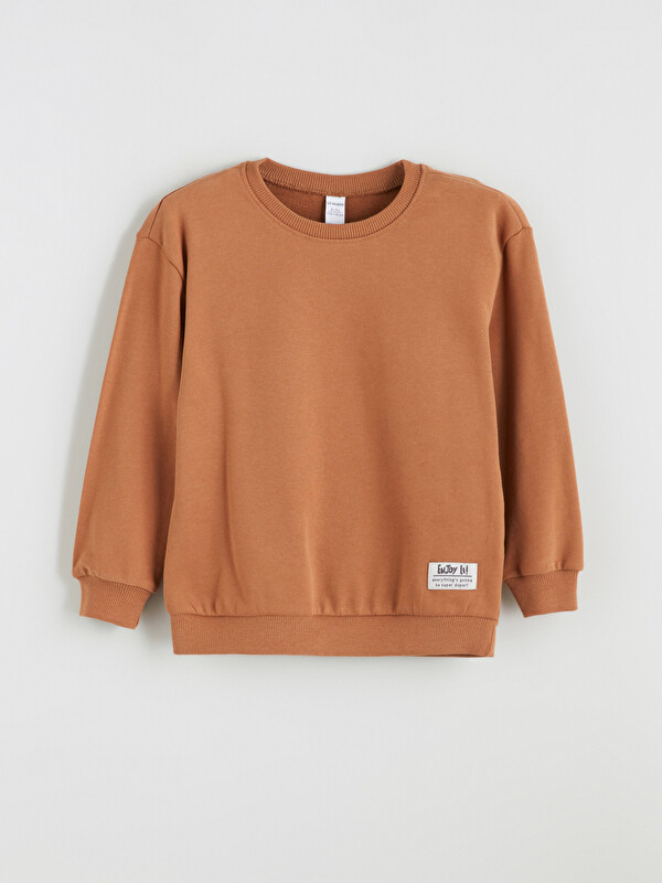 LCW Kids Bisiklet Yaka Uzun Kollu Erkek Çocuk Sweatshirt