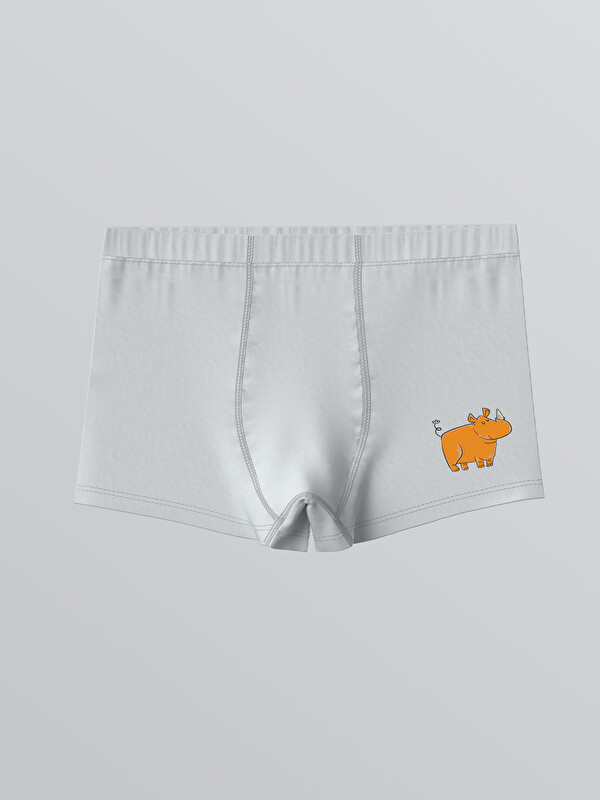 LCW Kids Baskılı Erkek Çocuk Boxer