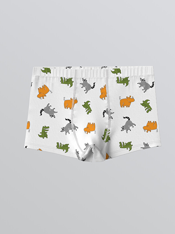 LCW Kids Baskılı Erkek Çocuk Boxer