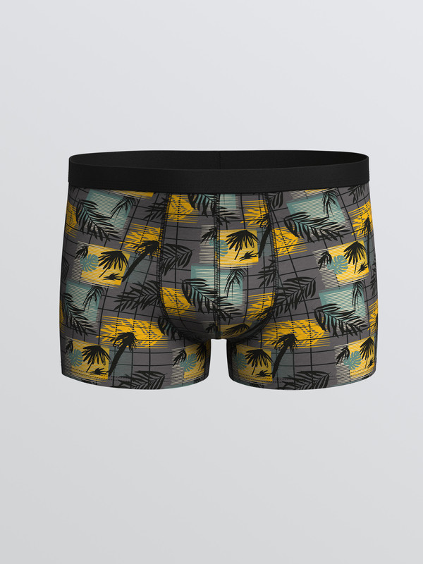 LC WAIKIKI Regular Fit Desenli Erkek Boxer