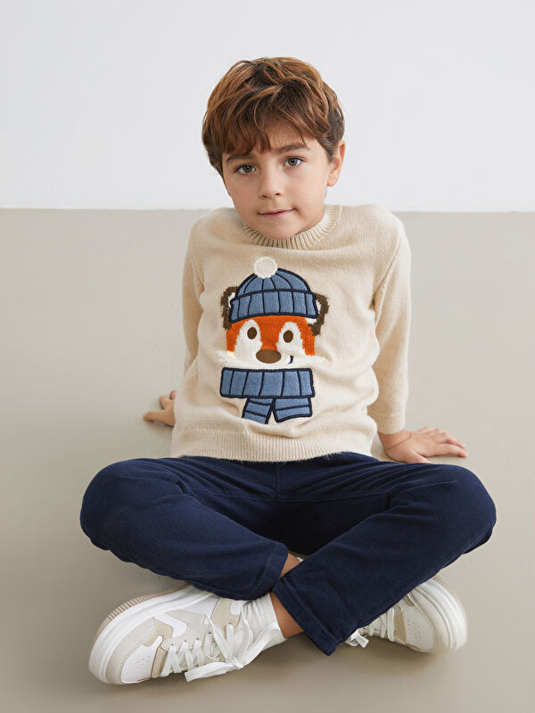 LCW Kids Bisiklet Yaka Desenli Erkek Çocuk Triko Kazak