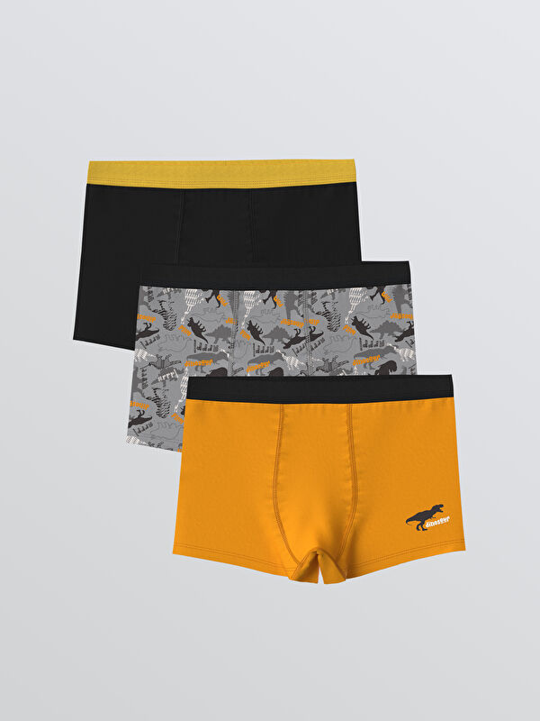 LCW Kids Baskılı Erkek Çocuk Boxer 3'lü