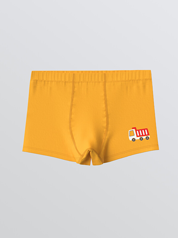 LCW Kids Erkek Çocuk Boxer