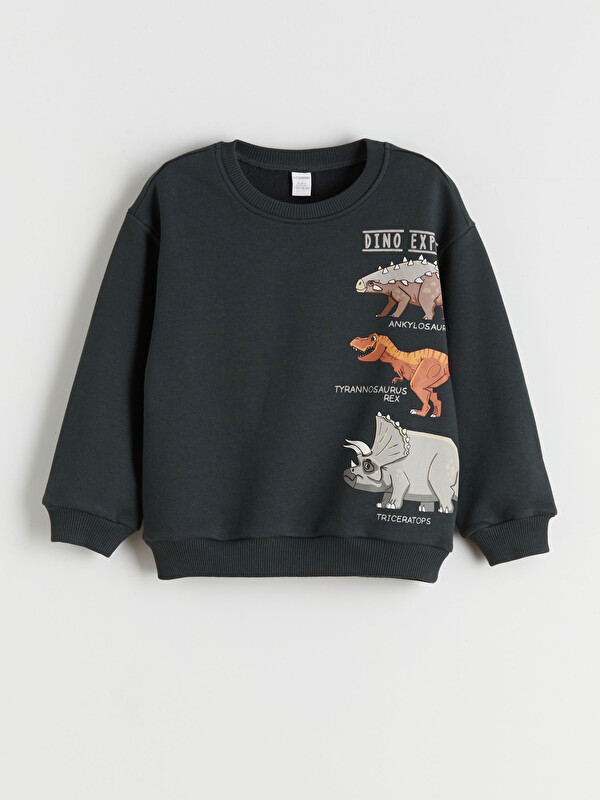 LCW Kids Baskılı Erkek Çocuk Sweatshirt