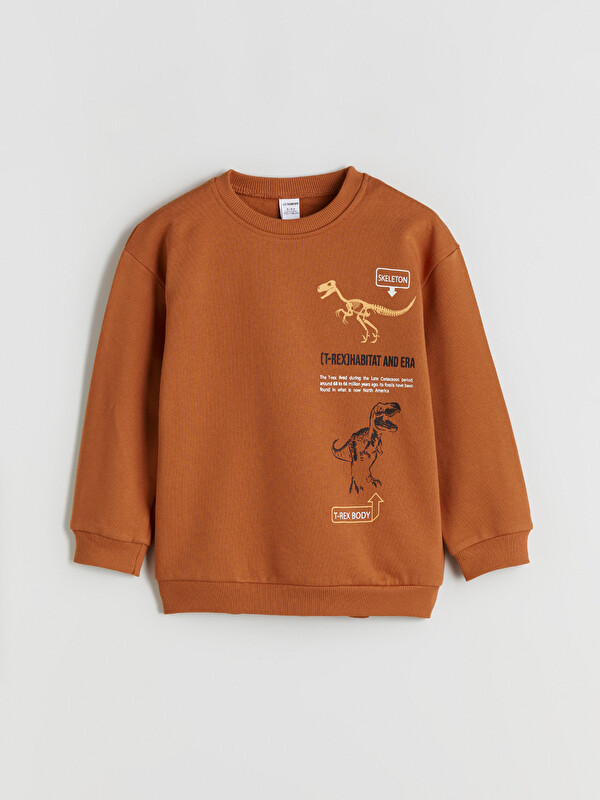 LCW Kids Bisiklet Yaka Baskılı Erkek Çocuk Sweatshirt