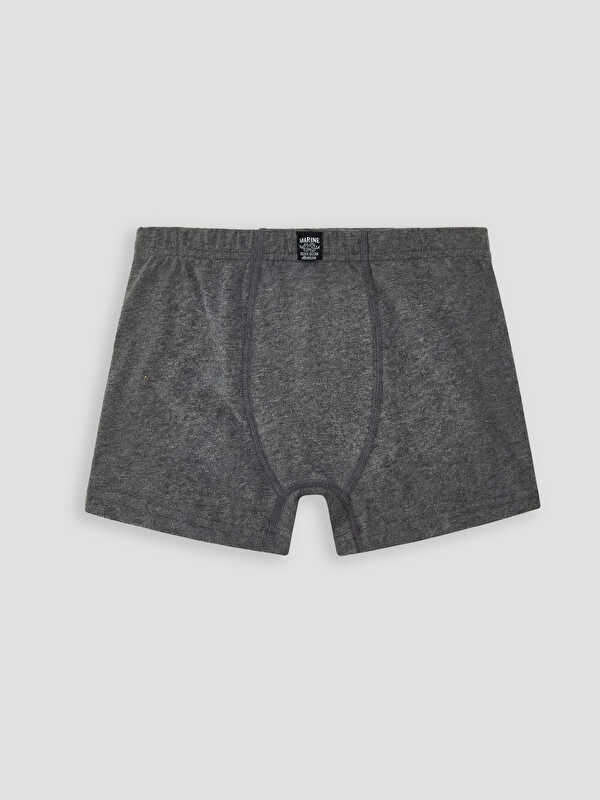 LCW Kids Basic Erkek Çocuk Boxer