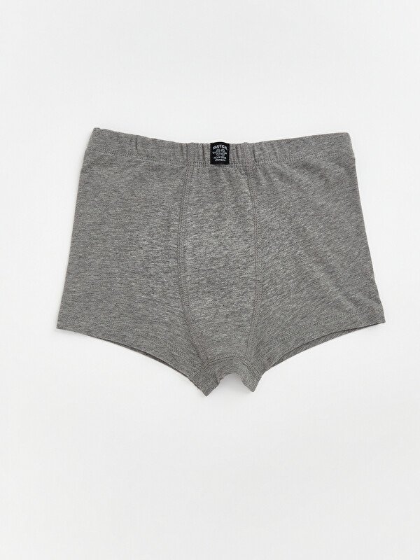 LCW Kids Basic Erkek Çocuk Boxer