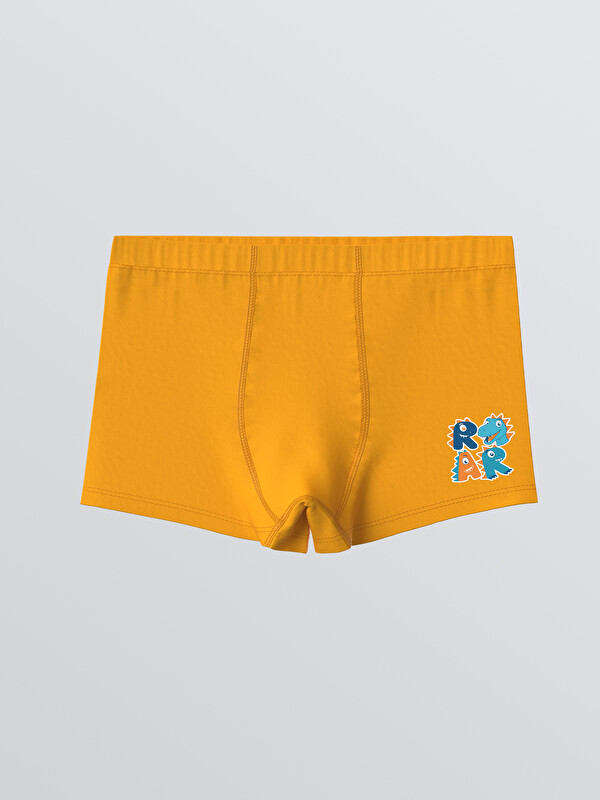 LC WAIKIKI Baskılı Erkek Çocuk Boxer