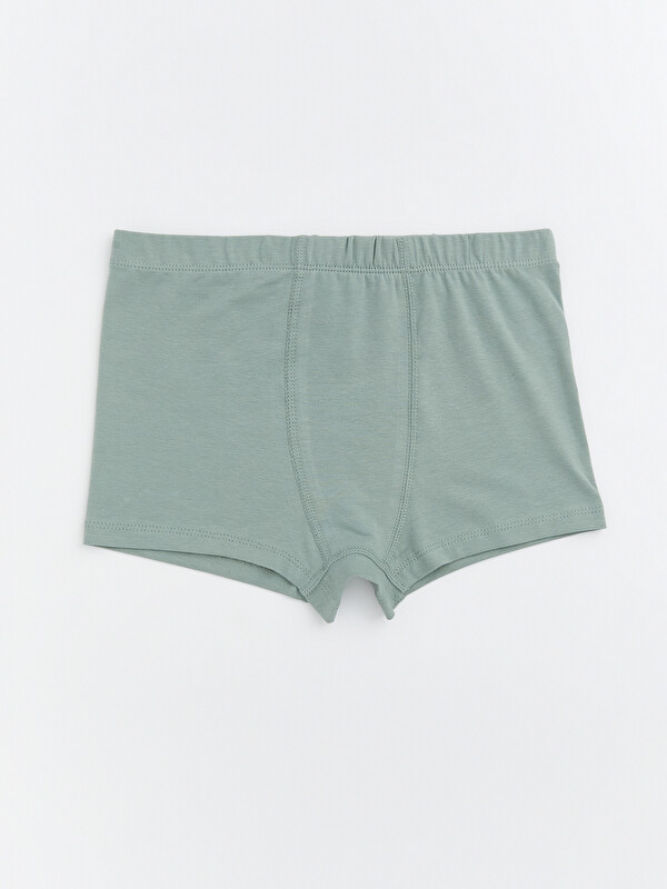 LCW Kids Basic Erkek Çocuk Boxer