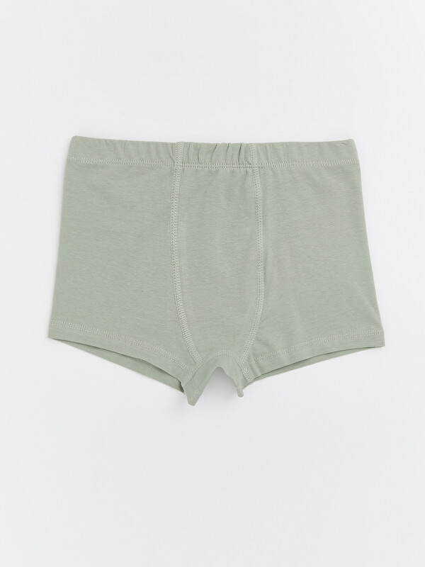 LCW Kids Basic Erkek Çocuk Boxer