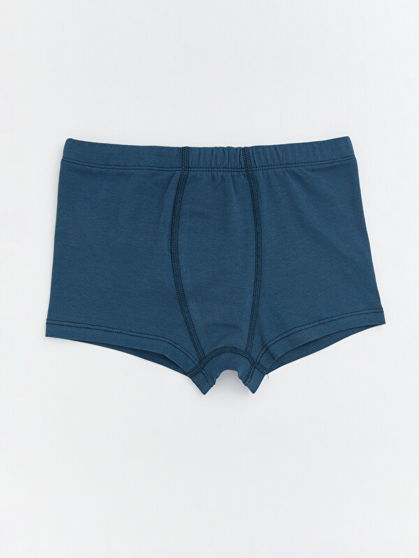 LCW Kids Basic Erkek Çocuk Boxer