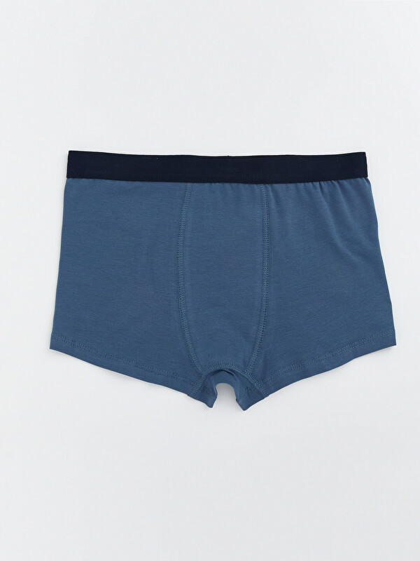 LCW Kids Basic Erkek Çocuk Boxer