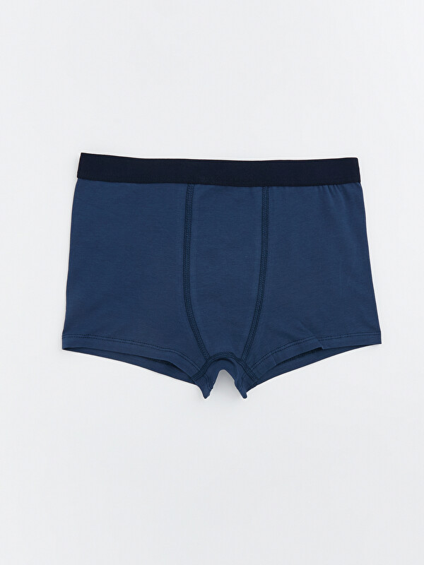 LCW Kids Basic Erkek Çocuk Boxer
