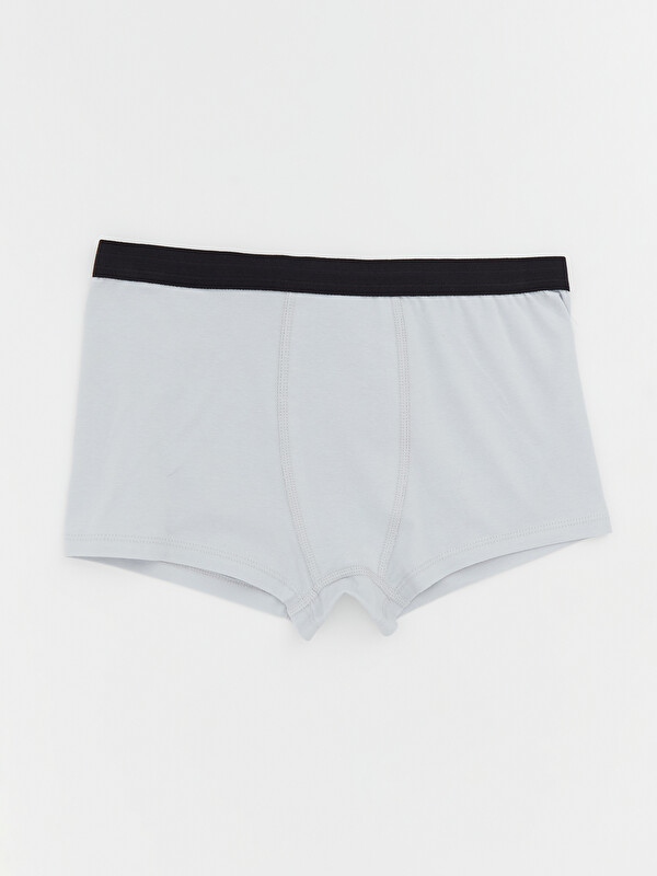 LCW Kids Basic Erkek Çocuk Boxer