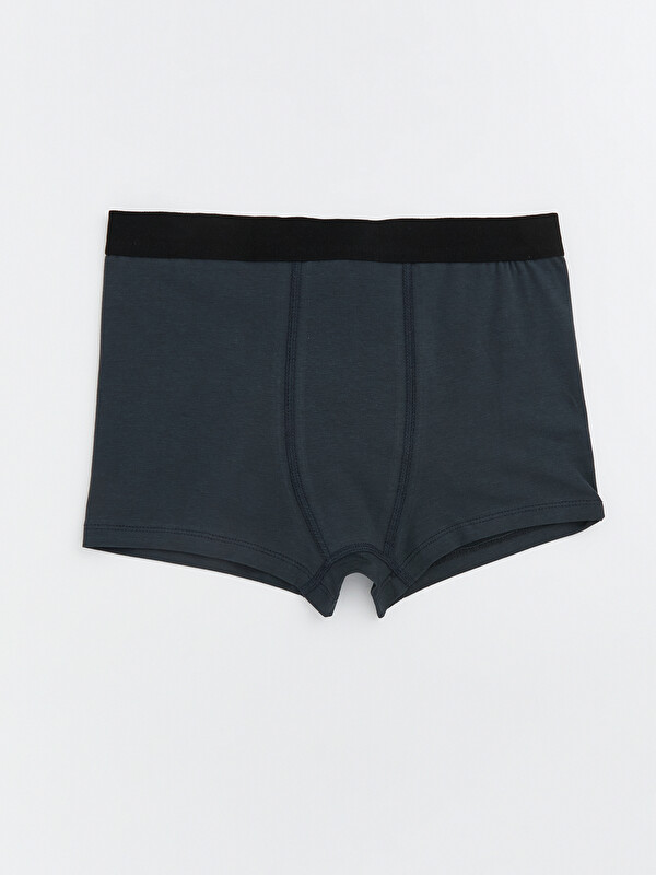LCW Kids Basic Erkek Çocuk Boxer