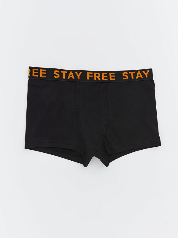 LCW Kids Baskılı Erkek Çocuk Boxer