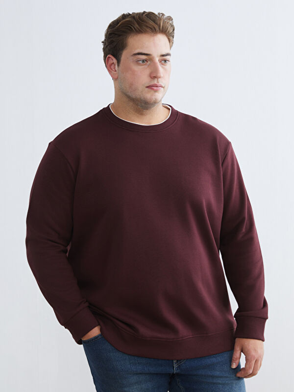 LCW Vision Bisiklet Yaka Erkek Kalın Sweatshirt
