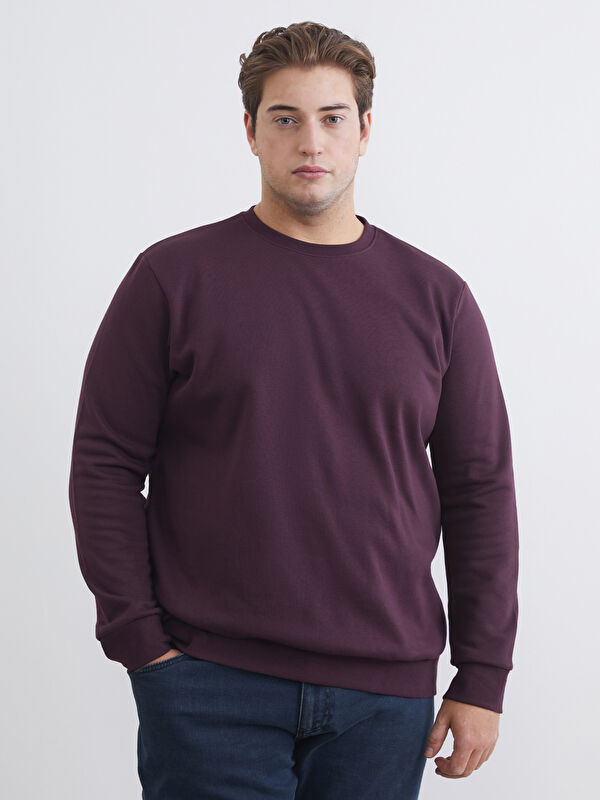 LCWAIKIKI Classic Büyük Beden Bisiklet Yaka Erkek Sweatshirt