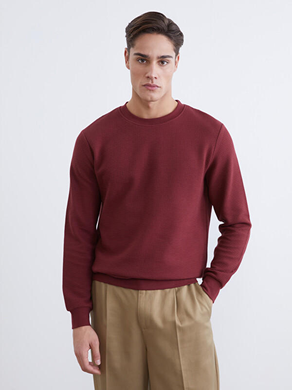 LCWAIKIKI Classic Bisiklet Yaka Dokulu Erkek Sweatshirt