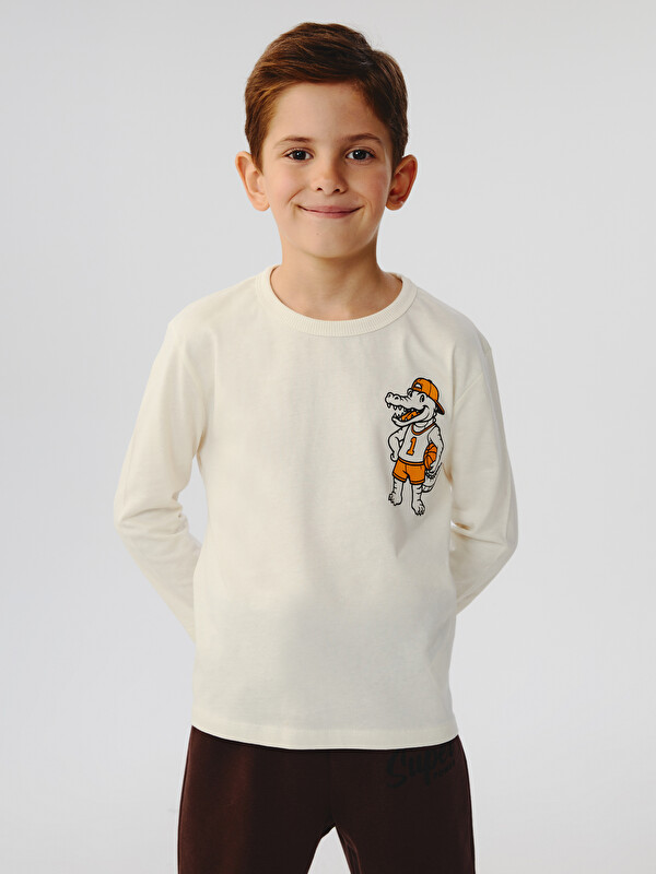 LCW Kids Dinozor Baskılı Erkek Çocuk Tişört