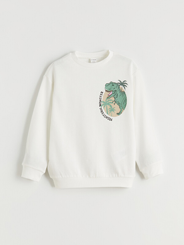 LCW Kids Bisiklet Yaka Baskılı Erkek Çocuk Sweatshirt
