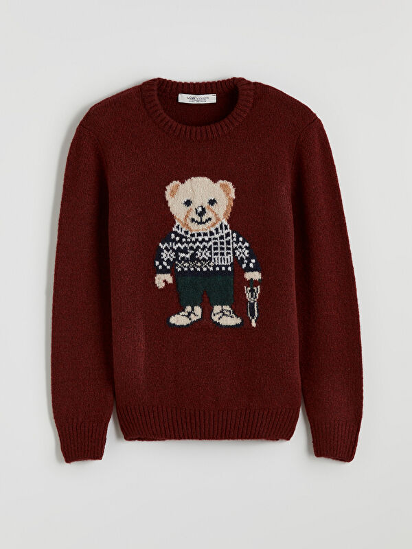 LCW Vision Bisiklet Yaka Ayı Teddy Desenli Erkek Çocuk Triko Kazak