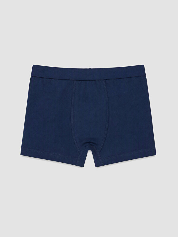 LCW Kids Erkek Çocuk Boxer