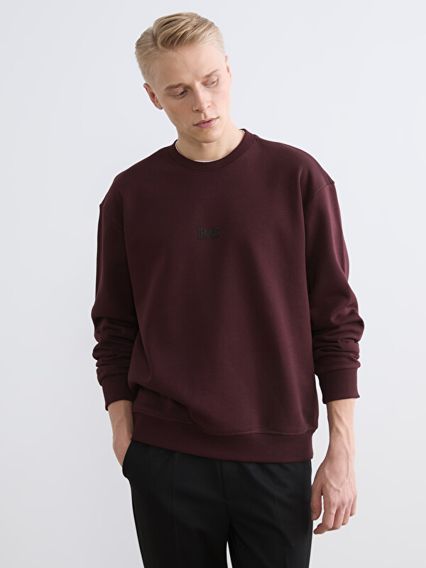 LCW Vision Bisiklet Yaka Baskılı Erkek Kalın Sweatshirt