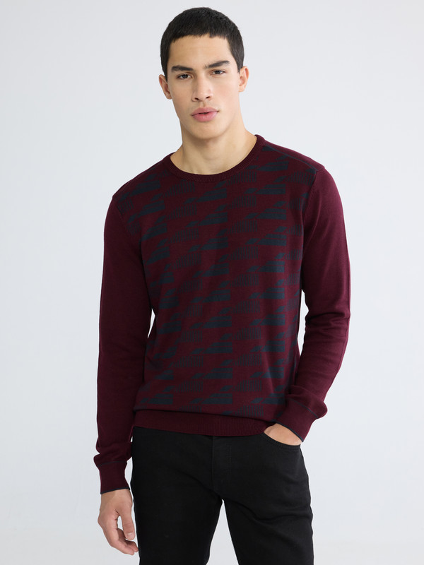 XSIDE Crew Neck Patterned Men's Knitwear Sweater