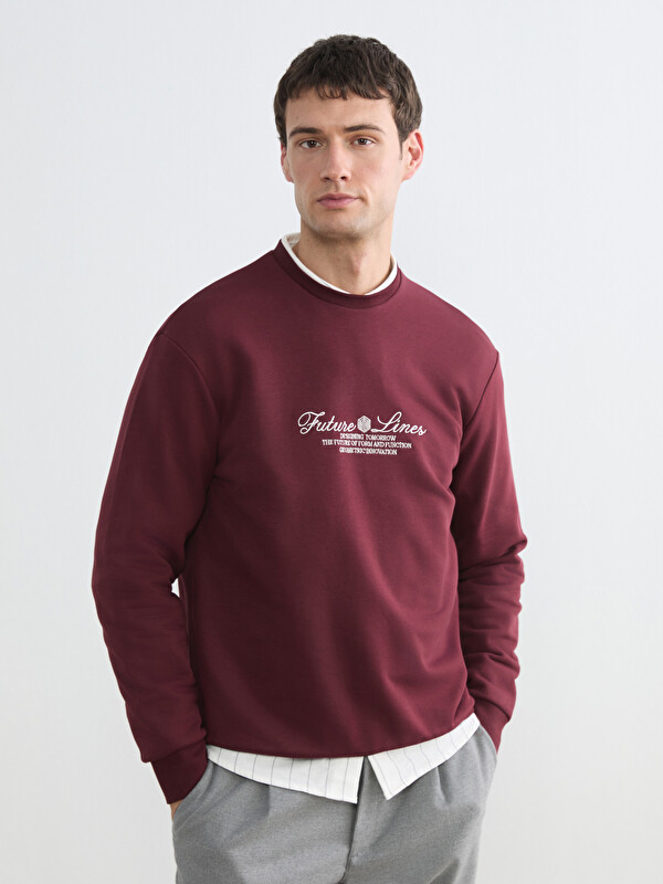 LCW Vision Bisiklet Yaka Baskılı Erkek Sweatshirt