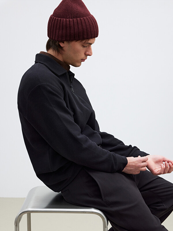 LCW Vision Polo Yaka Erkek Sweatshirt