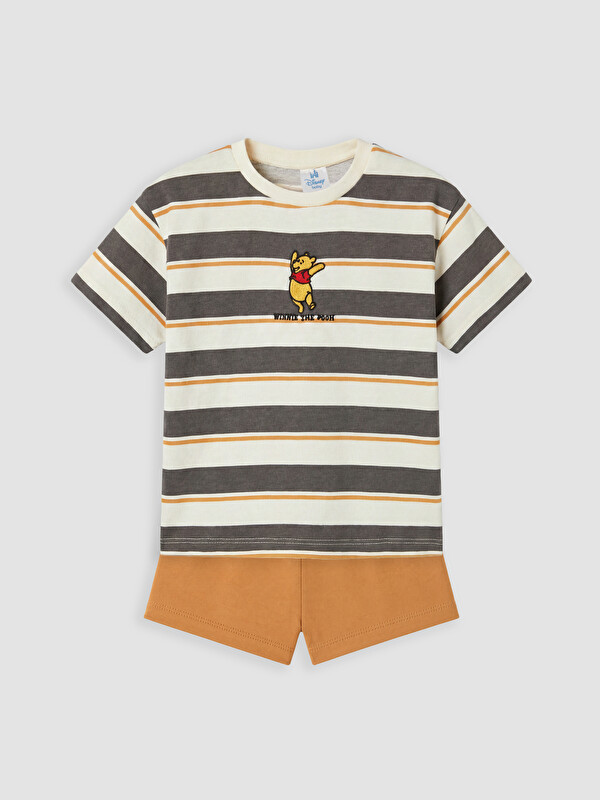 LCW baby Winnie the Pooh Nakışlı Erkek Bebek Takım
