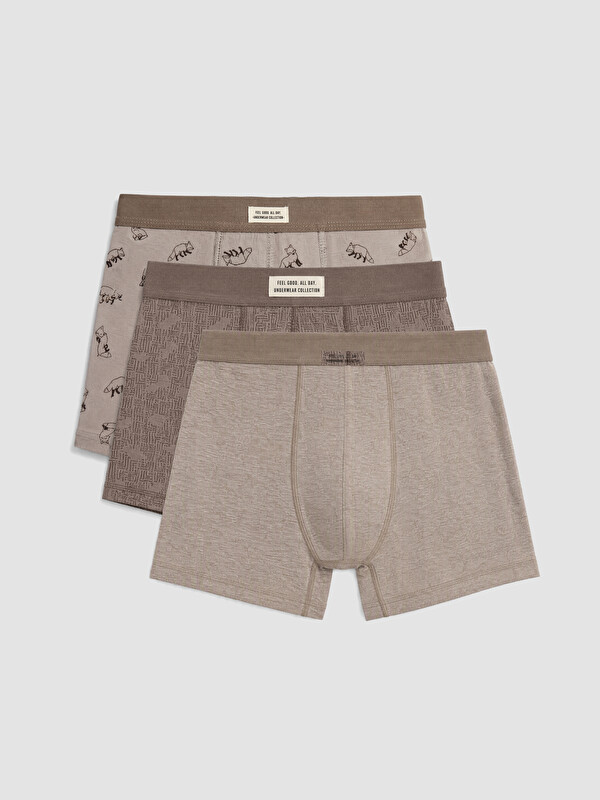 LC WAIKIKI Regular Fit Erkek 3'lü Boxer