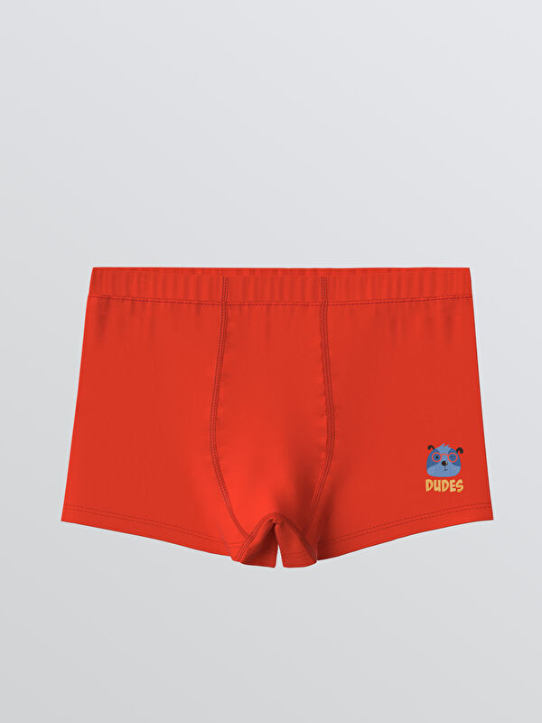 LCW Kids Baskılı Erkek Bebek Boxer