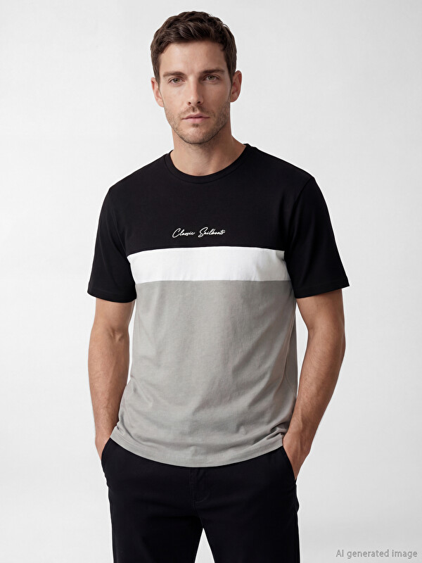 LCWAIKIKI Classic Men's Crew Neck Color Block Jersey T-Shirt