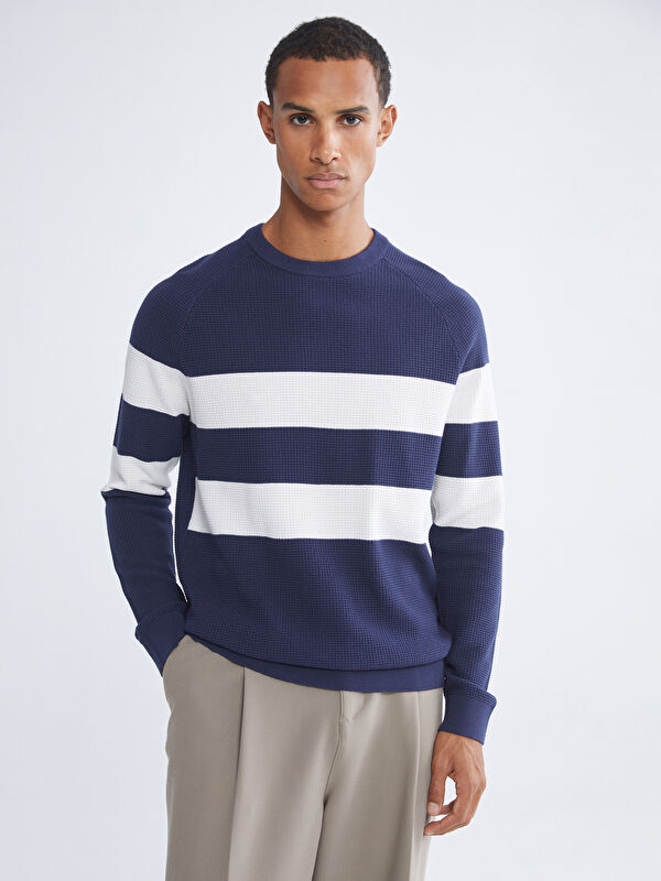 LCW Vision Striped Crew Neck Knit Sweater for Men