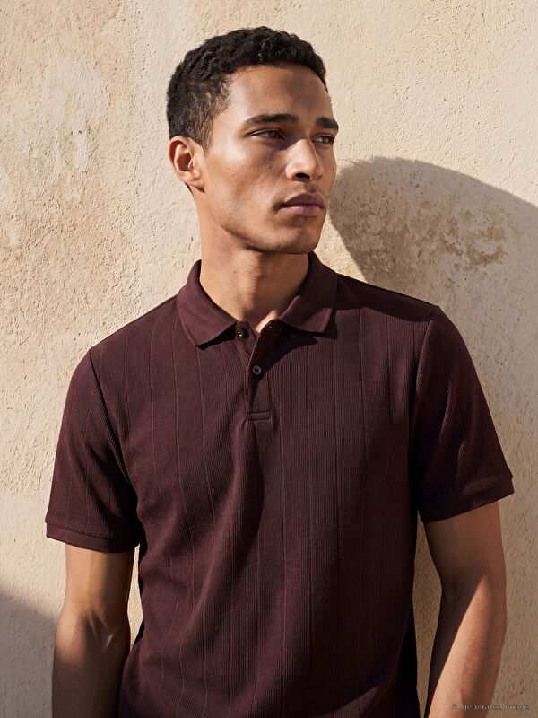 LCW Vision Polo Yaka Çizgili Erkek Tişört