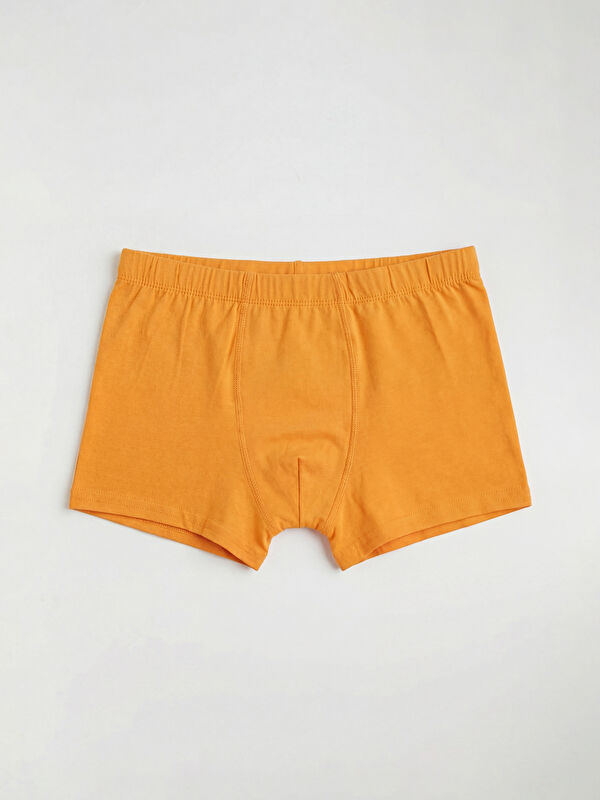 LCW Kids Erkek Çocuk Basic Boxer