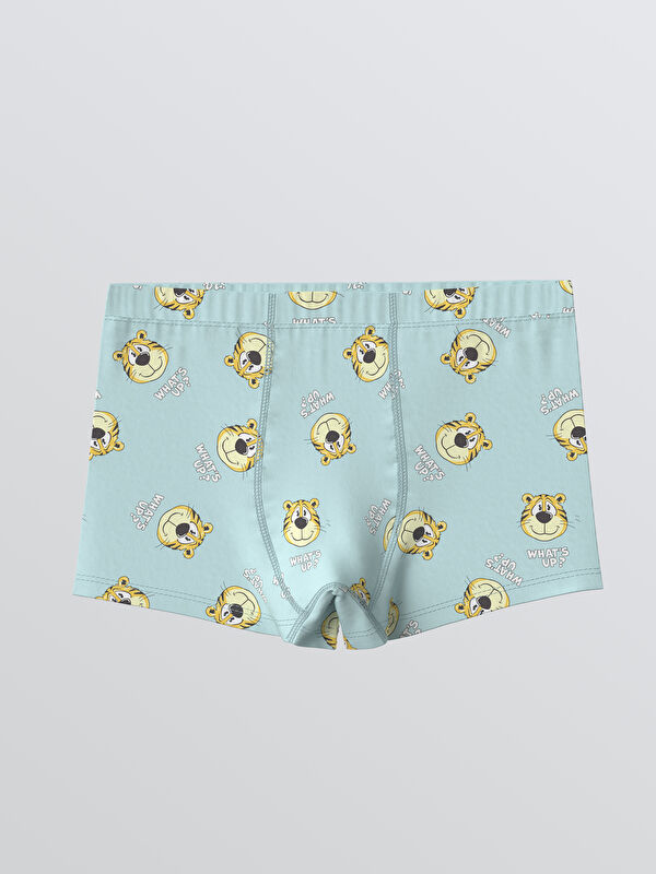 LCW Kids Erkek Çocuk Baskılı Boxer