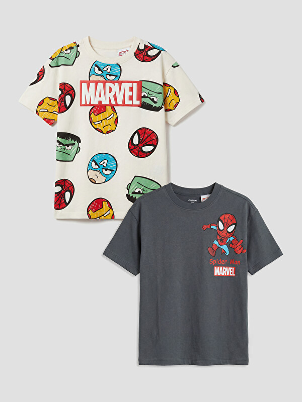 LCW Kids Boy Grey T-Shirt