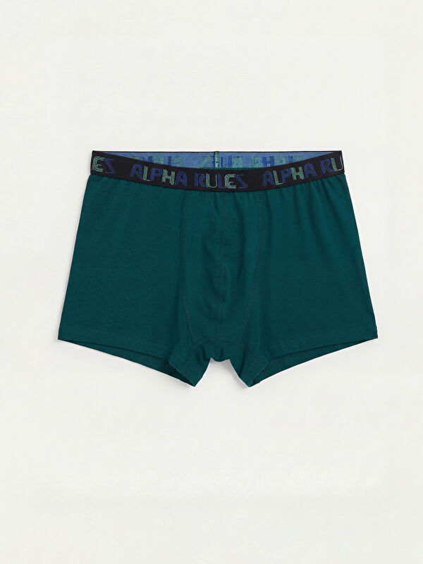 LC WAIKIKI Pamuklu Esnek Erkek Boxer