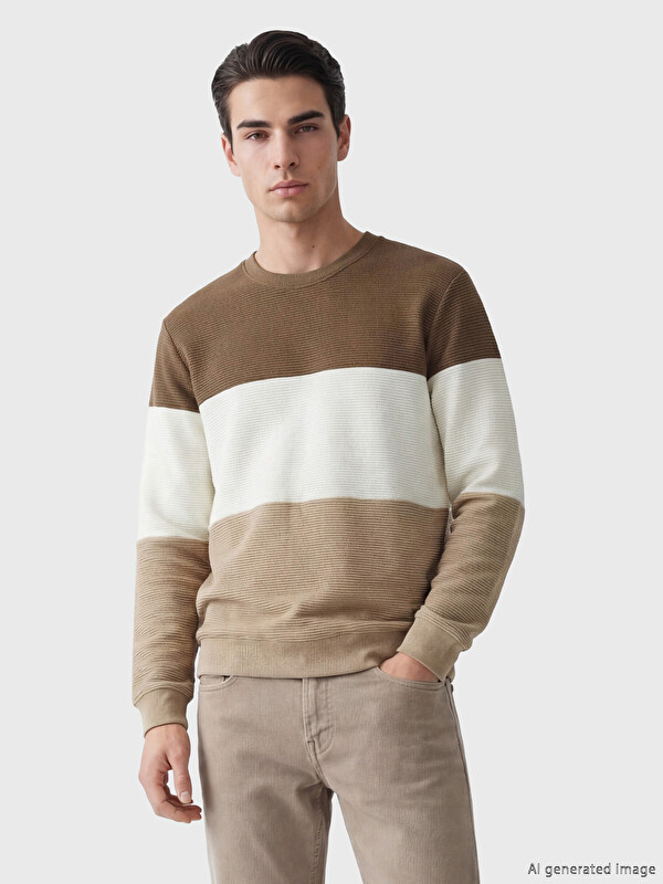 LCW Vision Crew Neck Color Block Men's Sweatshirt