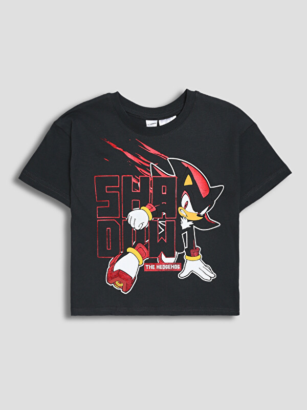 LCW Kids T-shirt pour Garçons Imprimé Sonic