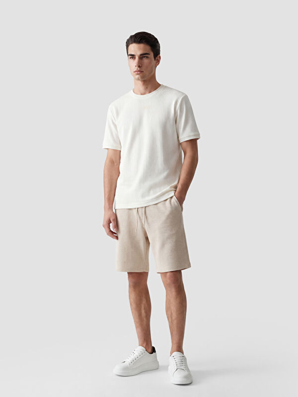 LCWAIKIKI Classic Regular Fit Erkek Şort