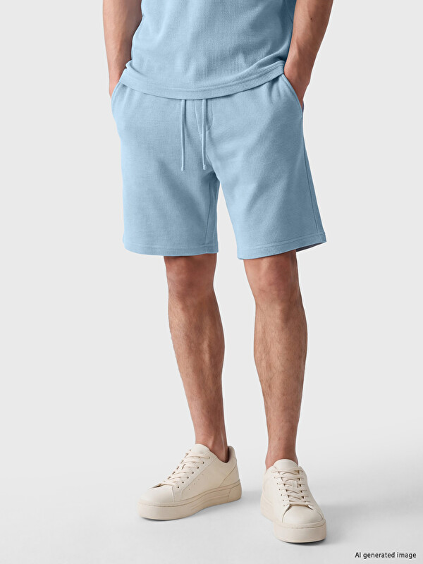 LCWAIKIKI Classic Regular Fit Erkek Şort