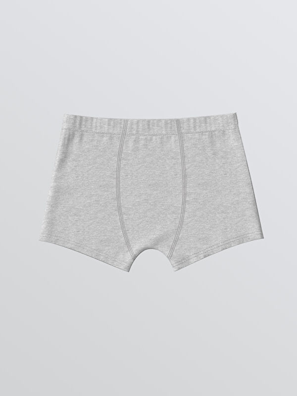 LCW Kids Basic Erkek Çocuk Boxer