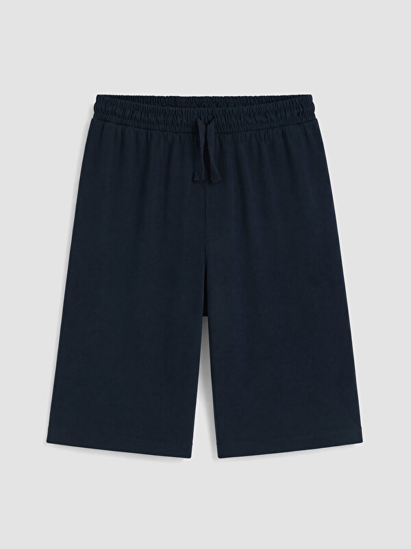 LC WAIKIKI Regular Fit Erkek Şort