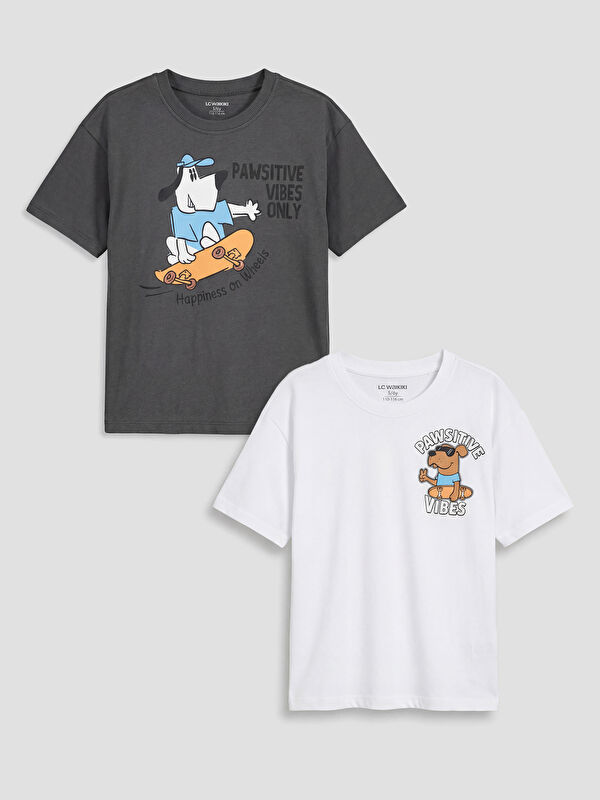 LCW Kids Bisiklet Yaka Baskılı Erkek Çocuk Tişört 2'li 