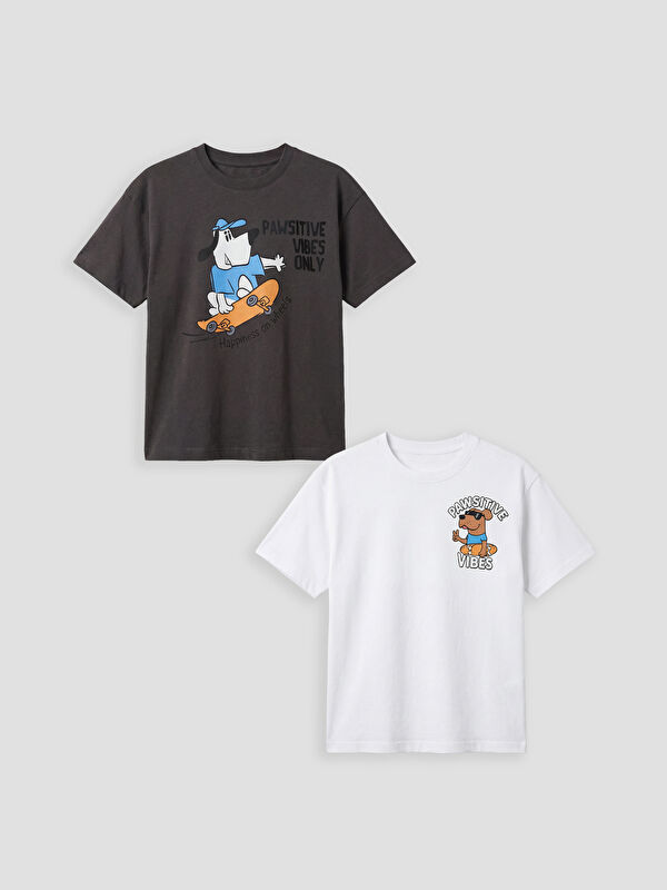 LCW Kids Crew Neck Printed Boys' T-Shirt 2 Pack