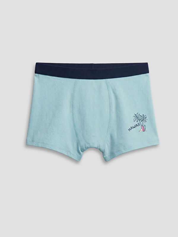 LCW Kids Erkek Çocuk Baskılı Boxer